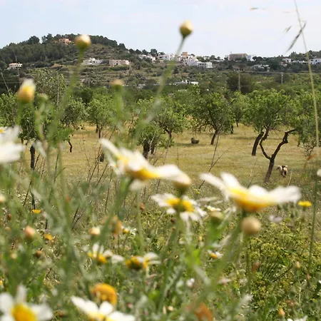 Finca Xo Ibiza Villa